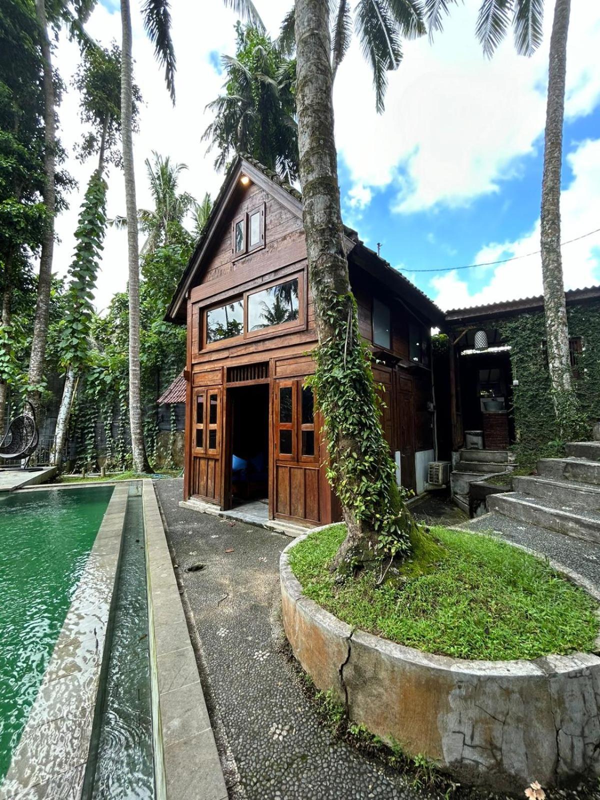 Tirta Padi Villa Ubud Buitenkant foto